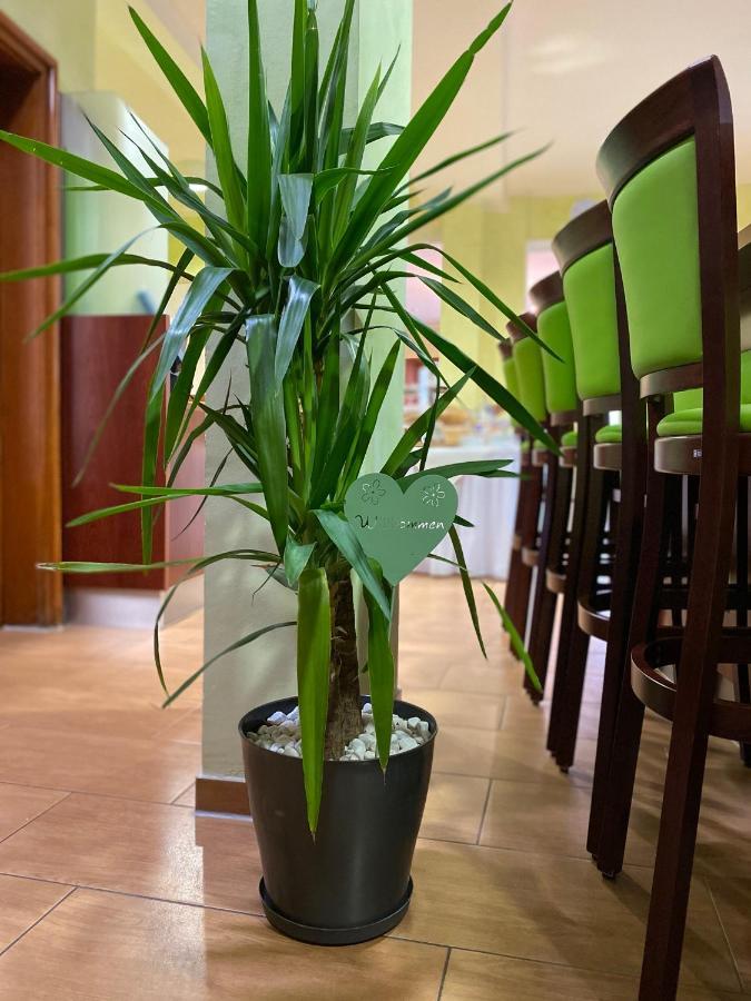 Parkhotel Zirndorf Kültér fotó